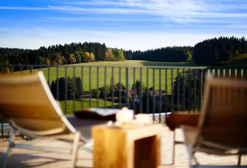 Majatalo Steinbergs Wildewiese Natur