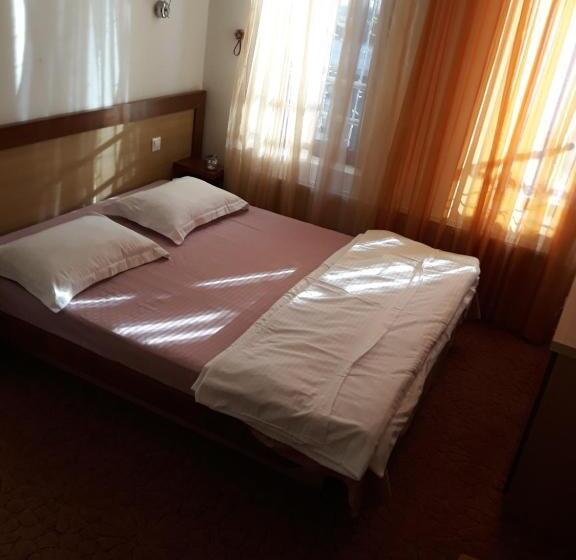 ペンション Vila Nicoleta