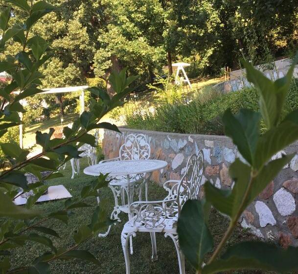 Pensiunea Casa Mircea & Restaurant