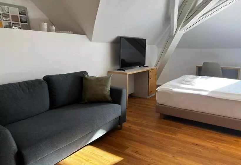 ユースホステル Smartroom Hotel Rössli Hunzenschwil