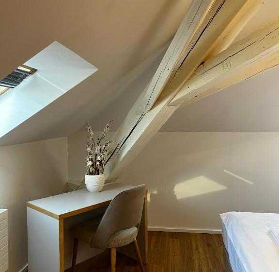 ユースホステル Smartroom Hotel Rössli Hunzenschwil