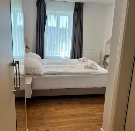ユースホステル Smartroom Hotel Rössli Hunzenschwil