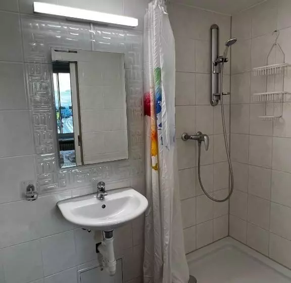 ユースホステル Smartroom Hotel Rössli Hunzenschwil