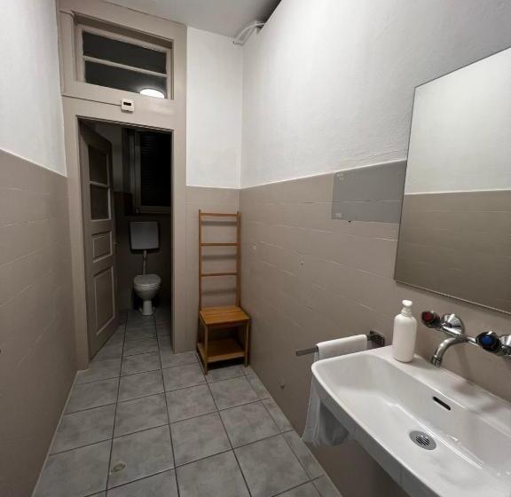 ユースホステル Smartroom Hotel Rössli Hunzenschwil