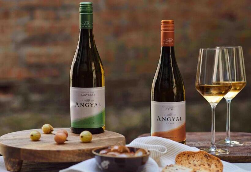 צימר Angyal Borászat és Panzió