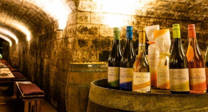 צימר Angyal Borászat és Panzió