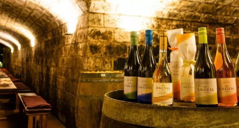 Aamiaismajoitus (B&B) Angyal Borászat és Panzió