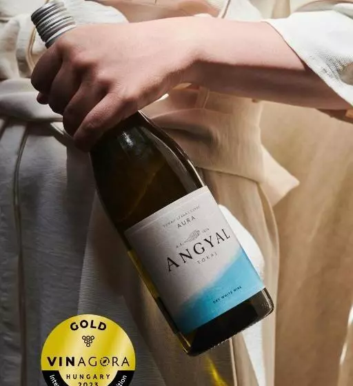 Aamiaismajoitus (B&B) Angyal Borászat és Panzió