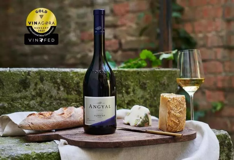 Aamiaismajoitus (B&B) Angyal Borászat és Panzió