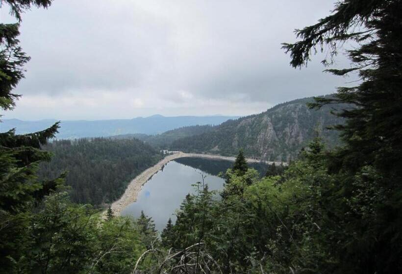 צימר Bois Joli De La Freyère