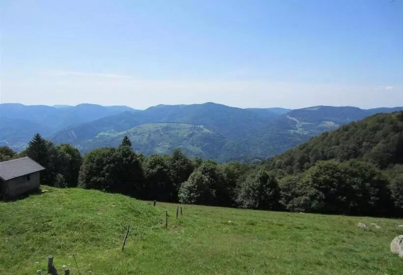 Aamiaismajoitus (B&B) Bois Joli De La Freyère