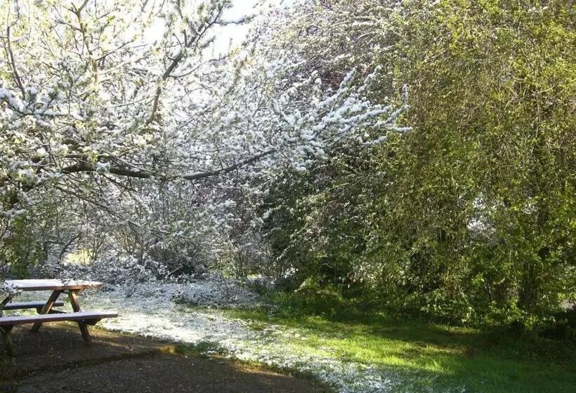 Aamiaismajoitus (B&B) Chambres D'hôtes De La Ferme Auberge De Mésauboin