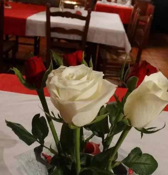 Aamiaismajoitus (B&B) Chambres D'hôtes De La Ferme Auberge De Mésauboin