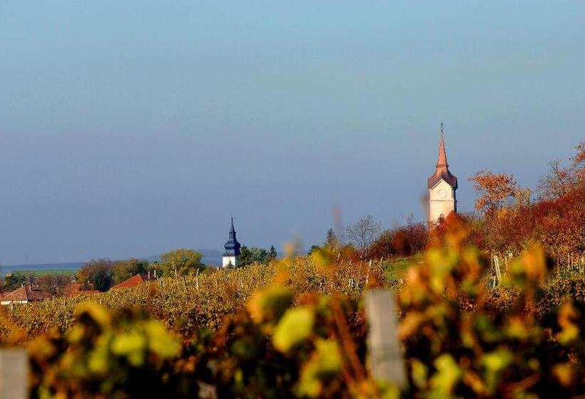 민박 Barka Galéria Hotel és étterem