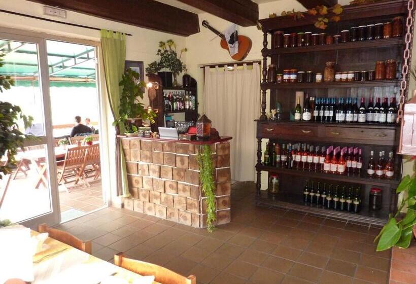 Отель Acropole Asco