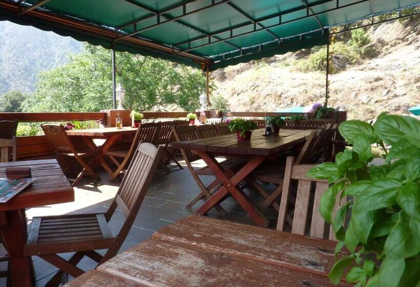 Отель Acropole Asco