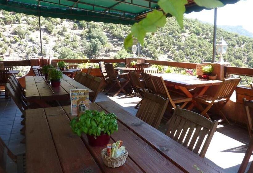 Отель Acropole Asco