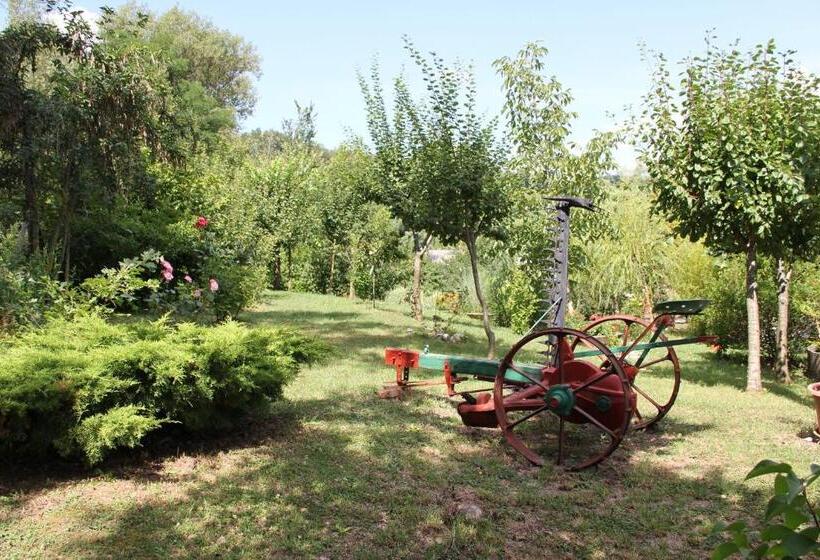 בית מלון כפרי Agriturismo Le Paicciole