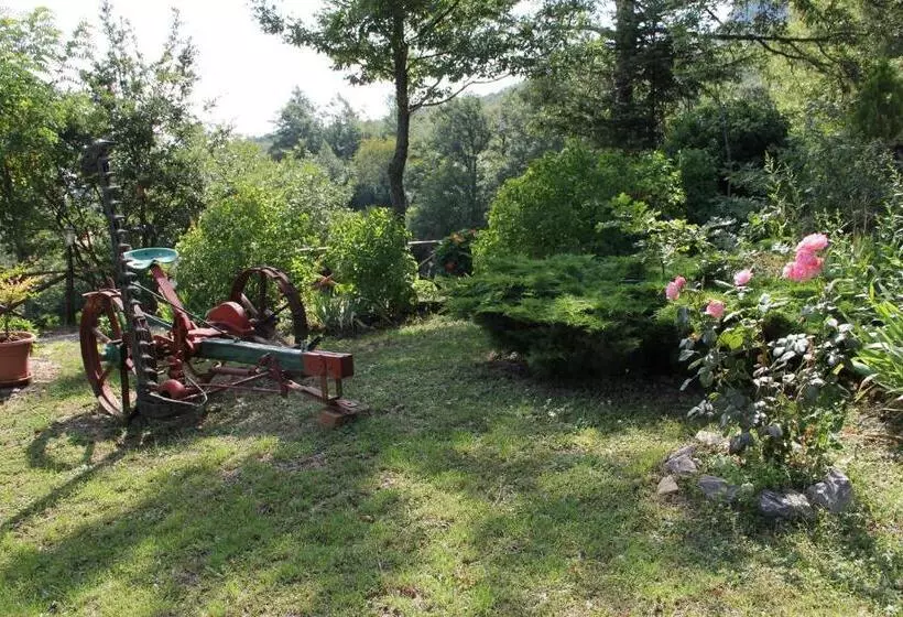 ホテル Agriturismo Le Paicciole