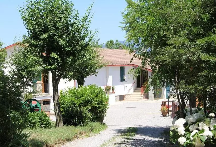 ホテル Agriturismo Le Paicciole