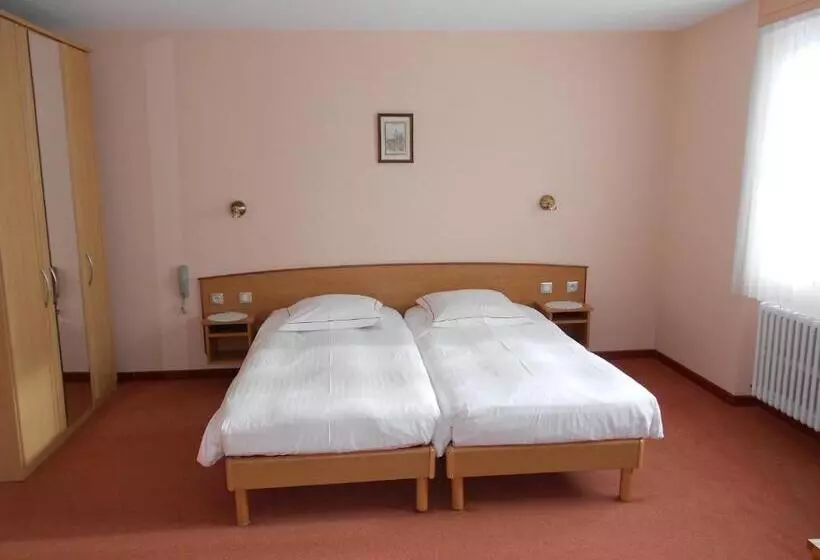 ホテル Hôtel Restaurant Roess