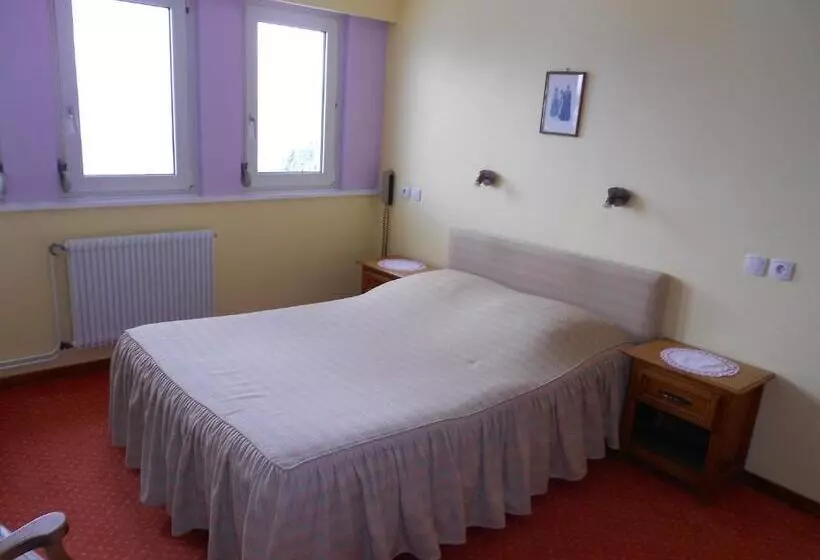 ホテル Hôtel Restaurant Roess