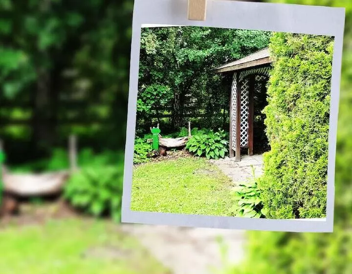 ホテル Landhaus Pfahlershof