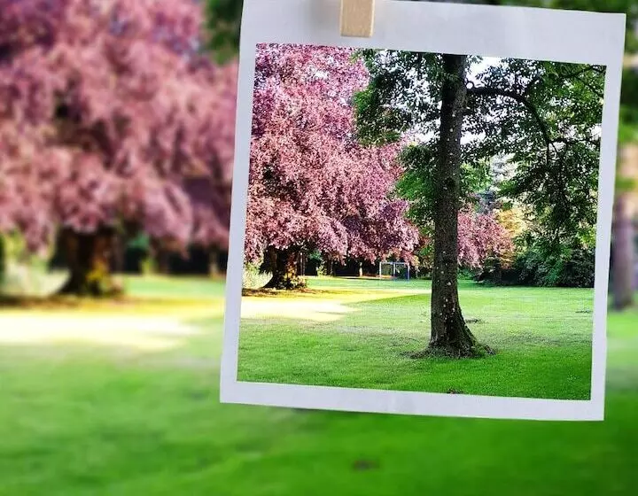 ホテル Landhaus Pfahlershof