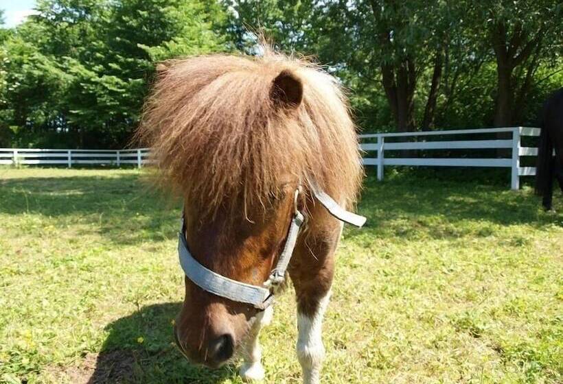 호텔 Landhaus Pfahlershof