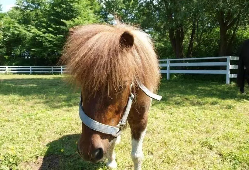 ホテル Landhaus Pfahlershof