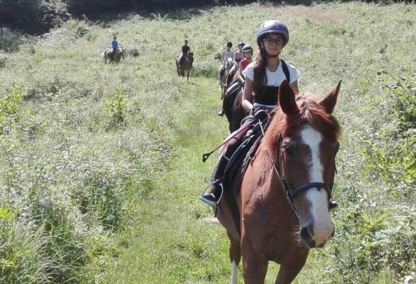 Отель Vadvirág Panzió