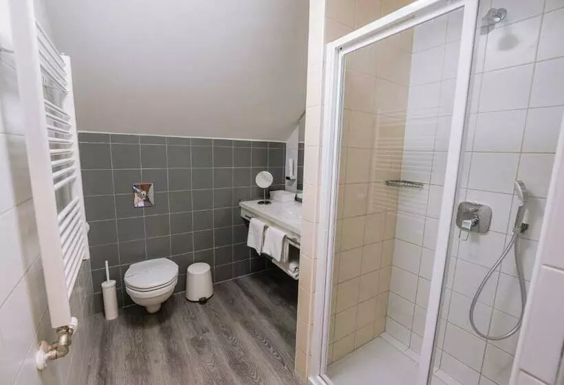 Hotelli Vadvirág Panzió