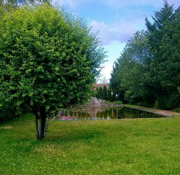 Hotelli Vadvirág Panzió