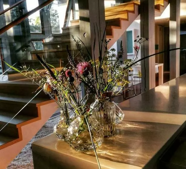 Hotelli Vadvirág Panzió