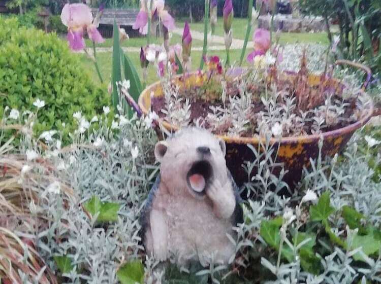 بنسيون La Borie Du Chevrier