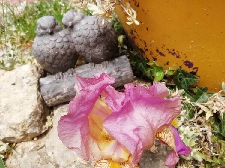 بنسيون La Borie Du Chevrier