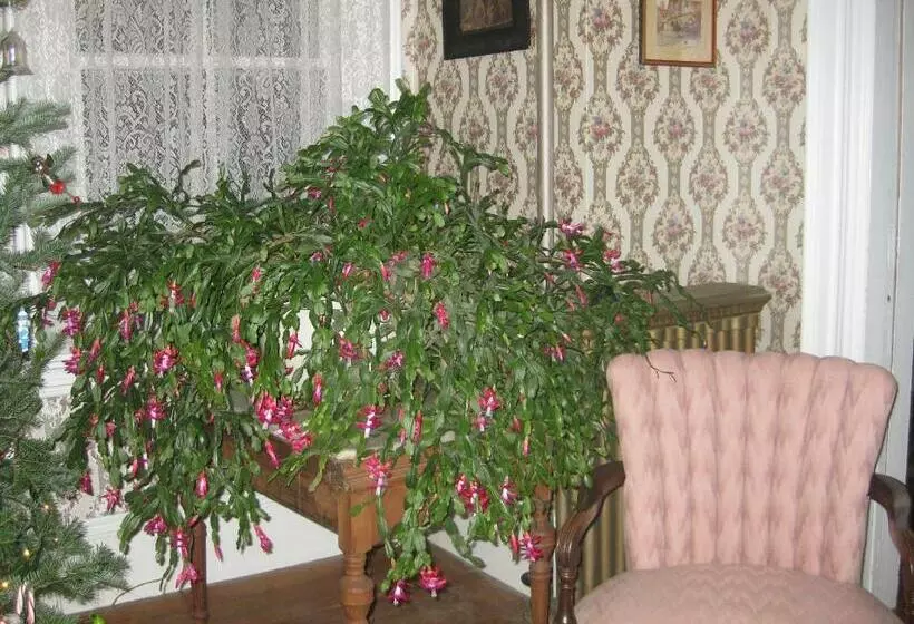 The Bridges Inn At Whitcomb House B&b