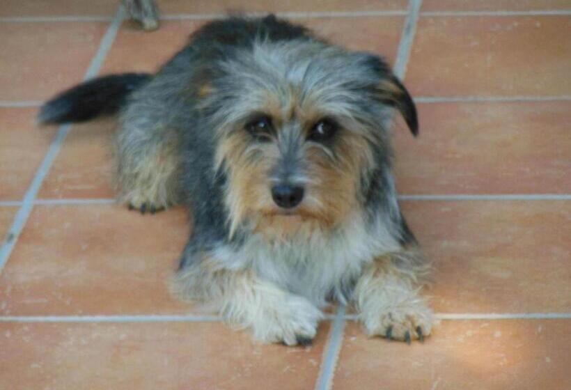 צימר Al Pic De Corone