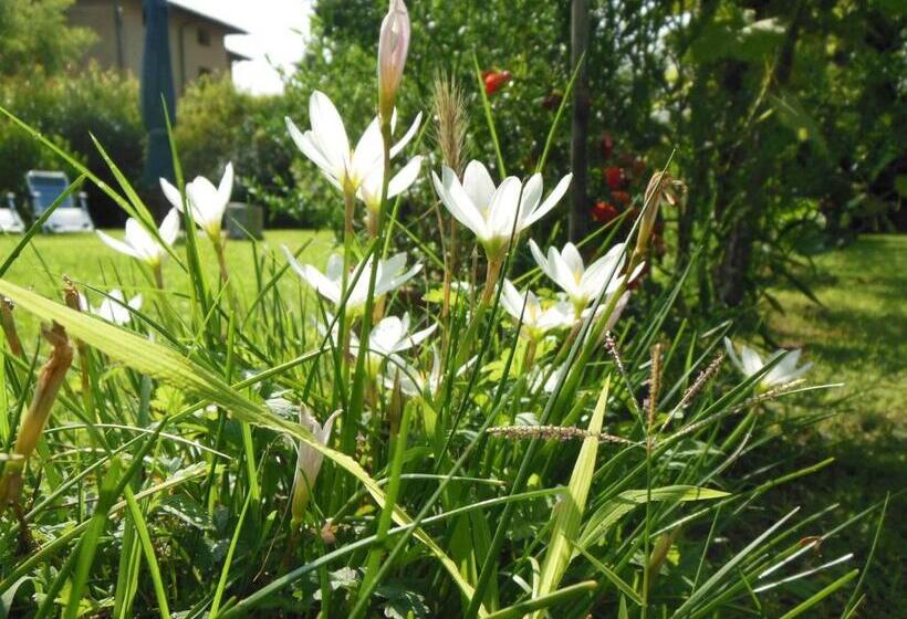 צימר Al Pic De Corone