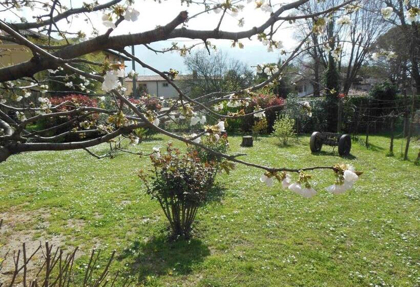 צימר Al Pic De Corone