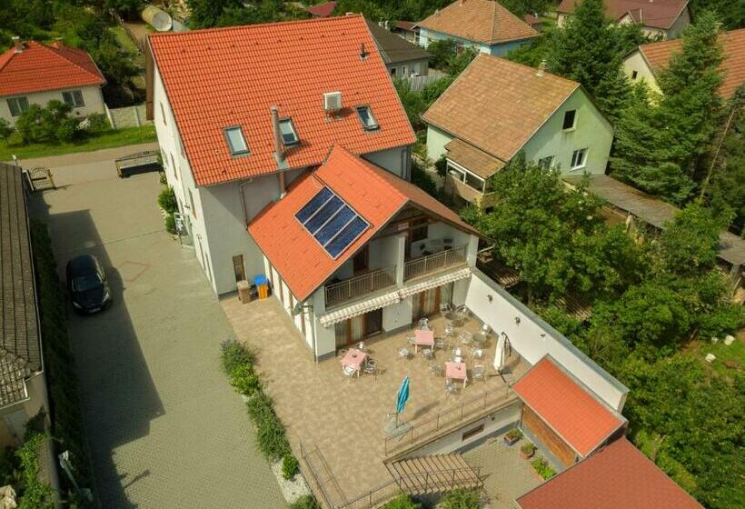 住宿加早餐  Villa Rigo Panzió