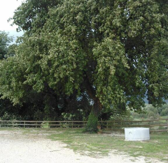 Hotel Agriturismo Varcodoro