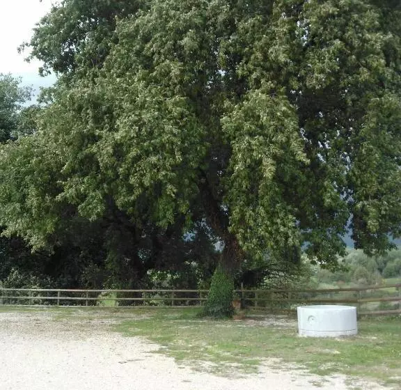 ホテル Agriturismo Varcodoro