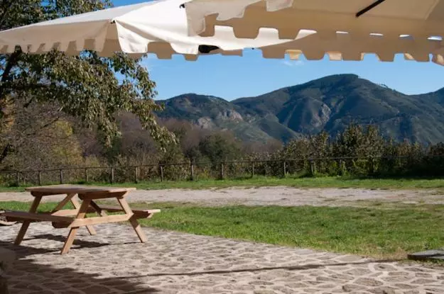 ホテル Agriturismo Il Vignale