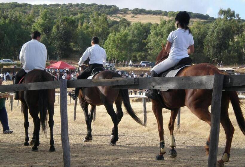 בית מלון כפרי Agriturismo Montealma
