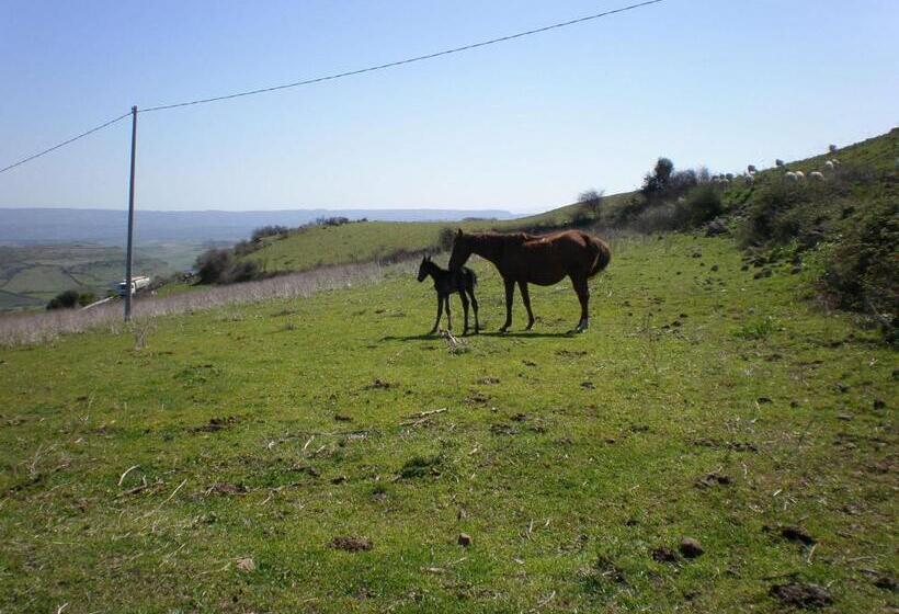 בית מלון כפרי Agriturismo Montealma