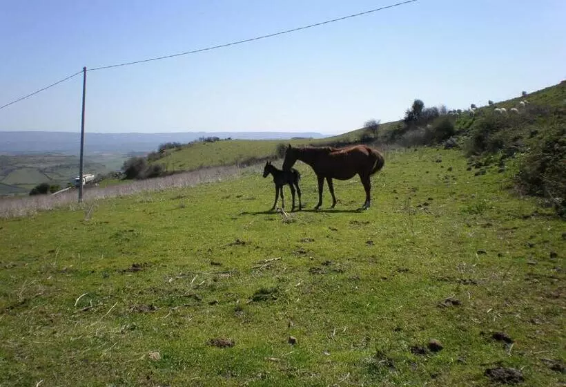 هتل Agriturismo Montealma