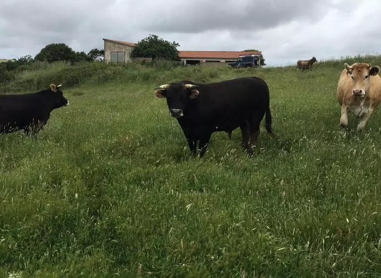 هتل Agriturismo Montealma