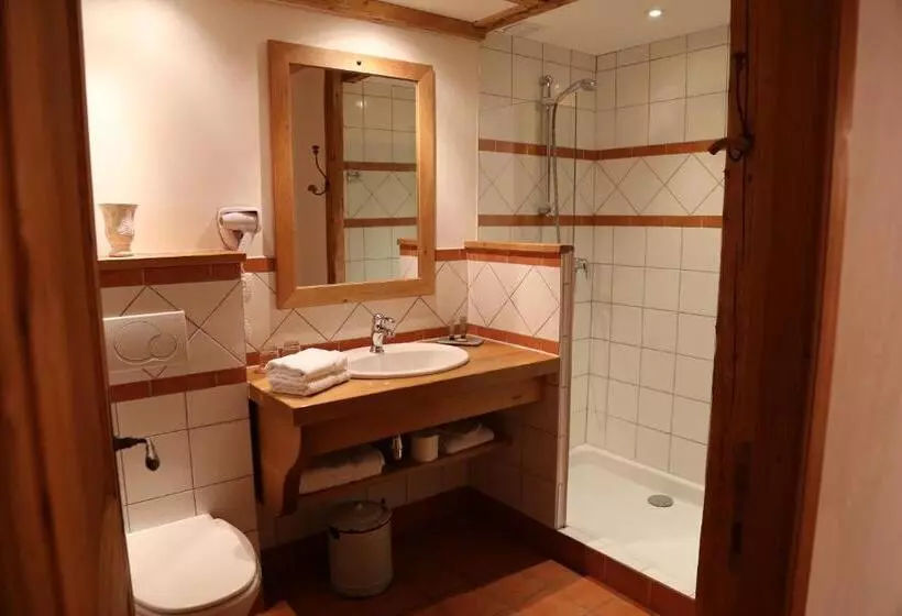 ホテル Auberge Le Moulin De Léré Restaurant Frédéric Molina 1 étoile