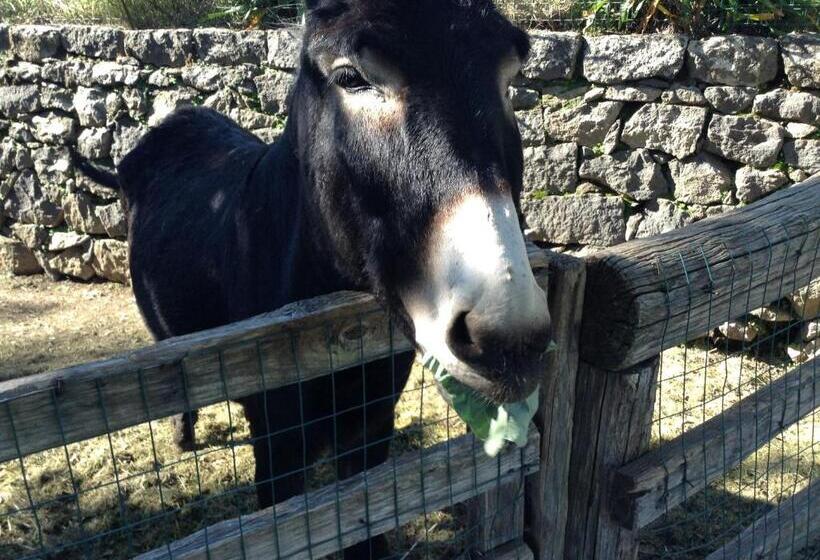 ホテル La Pietra Antica O' Munti